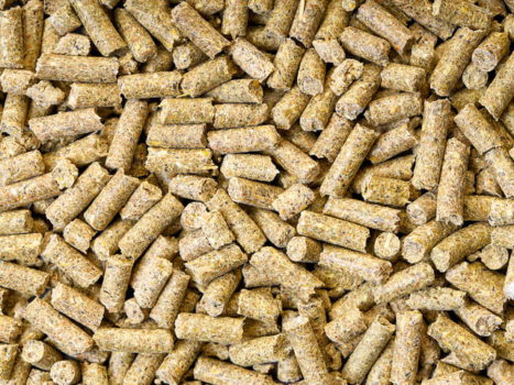 animal feed pellets